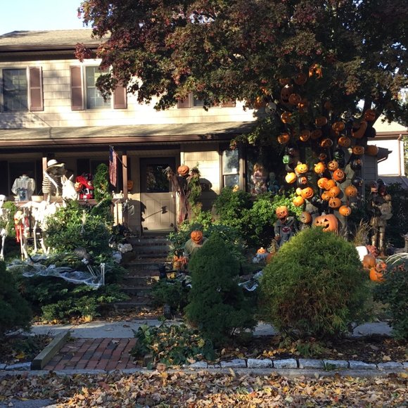 Meet your Posher, Bunny - Picture 2 of 7